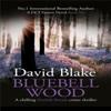 Bluebell Wood by David Blake Paperback Book 9781916347991