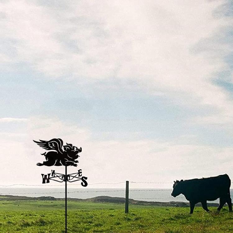 Metal Weather Vane Rustproof Wind Direction Light for Outdoor Garden Decoration Ornament Farmhouse Accessories