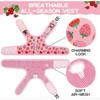 Cat Harness with Leash Escape Proof - Fashionable Mesh Cat Dog Walking Harness
