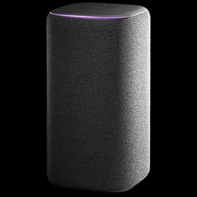 Xiaomi Smart Speaker Pro CN plug (adapter included)