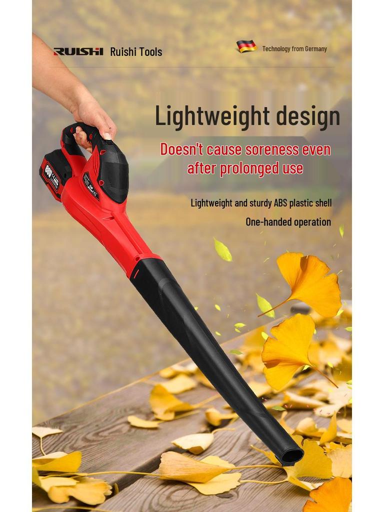 Ruishi High-Power Rechargeable Hair Dryer & Dust Blower/Vacuum for Home & Industrial Use