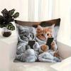 Poszewka na poduszkę 3D z nadrukiem kota, poszewka na poduszkę z ukrytym zamkiem błyskawicznym, zdejmowana, zmywalna, dekoracyjna poszewka na poduszkę