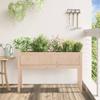 Plant Pot with Legs 110 X 31 X 70 Cm Solid Pine Wood