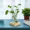 Pflanzenterrarium mit Holzständer Schreibtisch Lebende Pflanzen Vermehrungsstation Pflanzgefäß Glasröhren Hydroponische Vase Luftpflanzenhalter