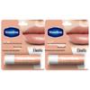 Vaseline Classic Repair Lip Balm - Sweet Peach (2-Pack)
