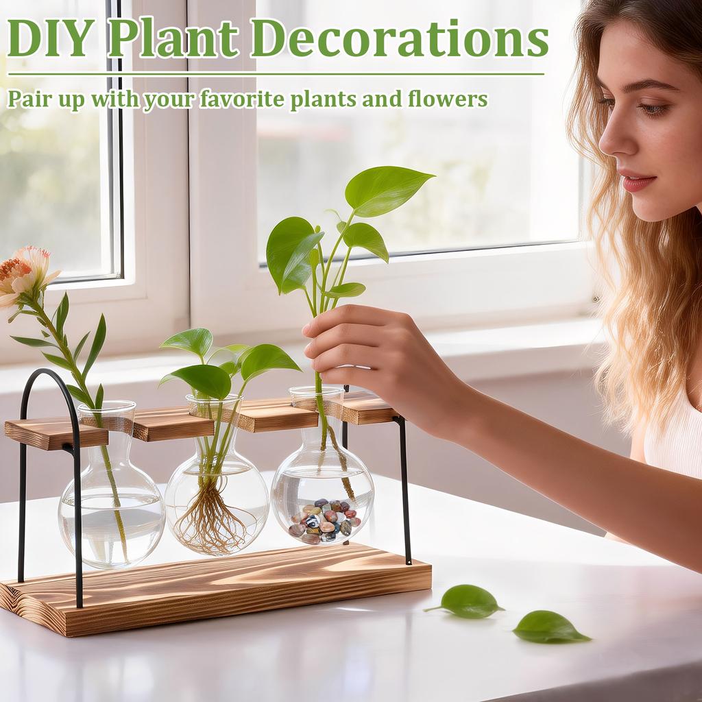 2 Stück Pflanzen-Terrarium Glasvase mit Holzständer zur Vermehrung Kleine Hydrokulturpflanzen Heim-/Büro-Schreibtischdekoration