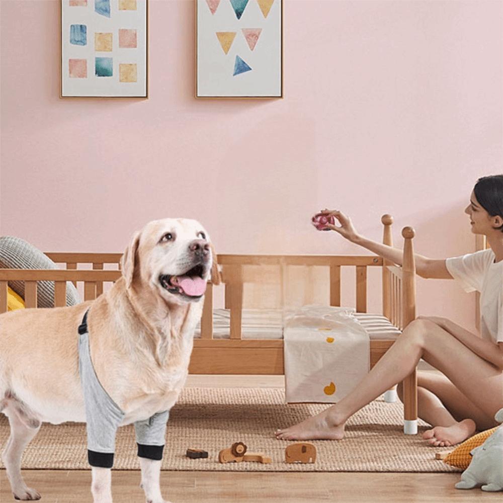 Tutore per Zampe di Cane in Neoprene Traspirante Opzioni Multi-Taglia Fasciatura Canina Recupero Post-Infortunio