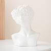 Creative White Bust Portrait Ceramic Vase Table Ornament Art Irregular Human Vase Flower Arrangement Container Home Decoration