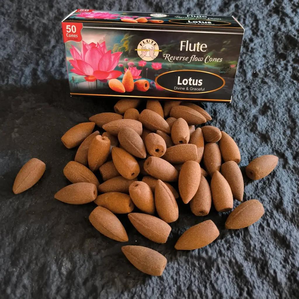 Natural 50pcs/lot Backflow Indian Incense Cones 20 Minutes White Sage Sandalwood Reverse Flow Cones Scents for Home Fragrance