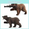 Realistische Schwarzbär- und Braunbär-Waldtierfiguren, perfekt für Kinder