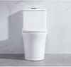 Compact Silent Siphon Ceramic Toilet for Apartments and Hotels