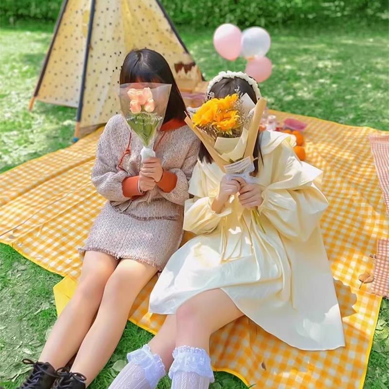 Thickened Waterproof Picnic & Camping Mat - Moisture-Proof, Portable & Foldable