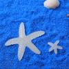 Luminous Starfish Resin Jewelry Accessories - DIY Handmade Materials