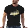 Tricou Păstrăv Maro Tricou Anime Tricouri Tricou Grafic Unisex Pachet Tricouri
