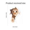 Süße Katze 3D geknackt WC Aufkleber Wandaufkleber Kühlschrank Autositz DIY Wohnzimmer Bad Zimmer Home Decor Wandsticker Schlafzimmer