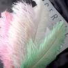 22-Color Ostrich Fur Big Feathers Wedding Background Wall Decorative Wall White Pink Feather Flower Arrangement 20-25Cm