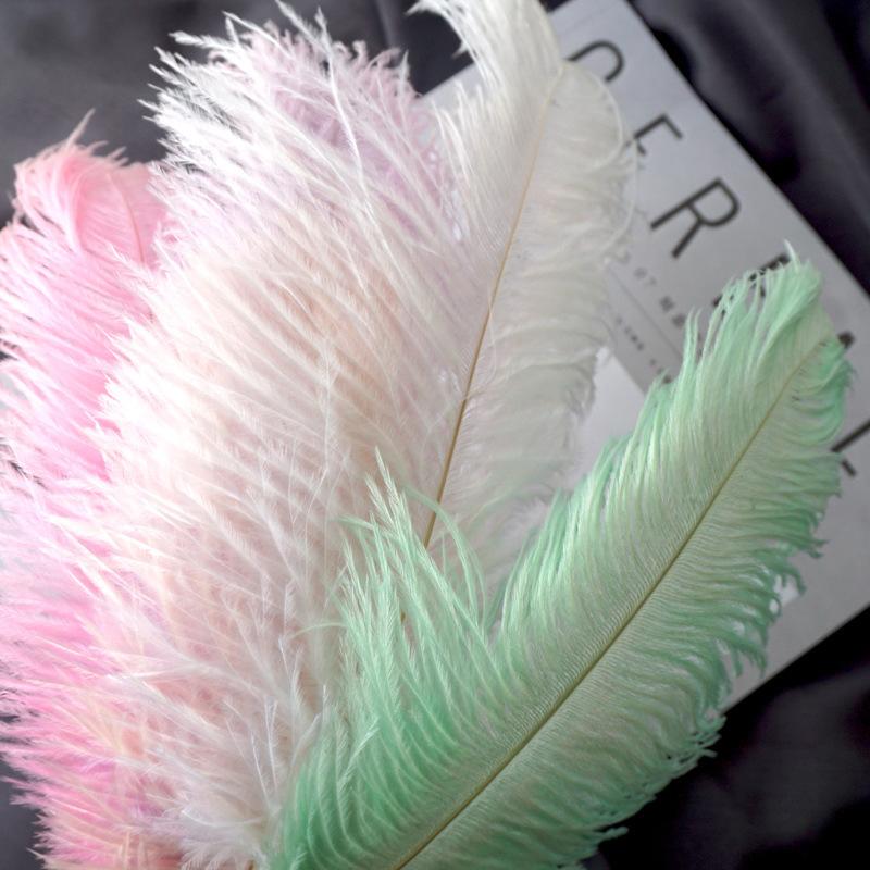 22-Color Ostrich Fur Big Feathers Wedding Background Wall Decorative Wall White Pink Feather Flower Arrangement 20-25Cm