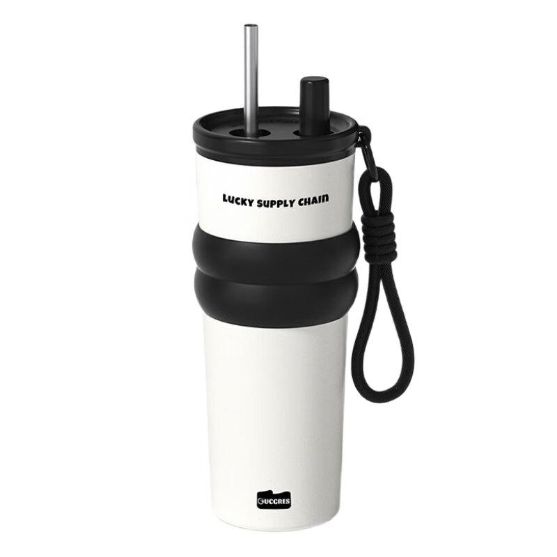 HDST 700ml 316 Stainless Steel Insulated Straw Tumbler