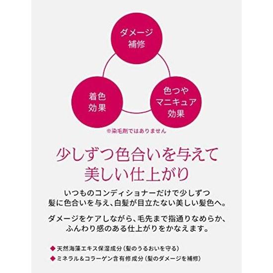 Shiseido Priori Color Conditioner N Black 230g