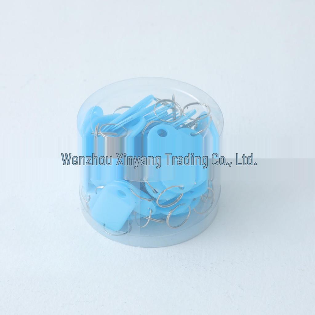 Colorful Detachable Plastic Key Tag Keyring for Office & Home Management