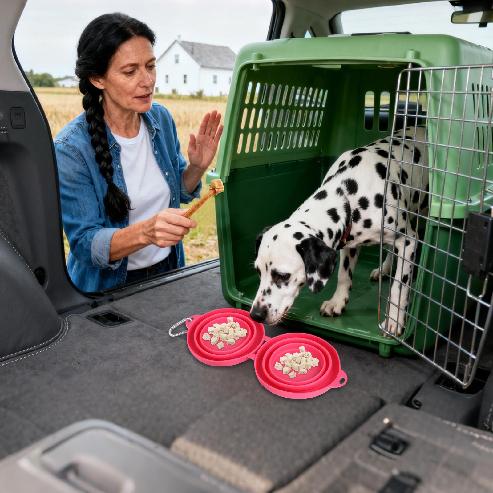 

Dog Food and Water Bowl Heat Resistant Silicone Containers Dog Food and Water Bowl Set for Small Medium Pet Car Hiking Camping CN
