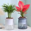 2024 Transparent Self Watering Flower Pot Plastic Plantpot Dual-layer Automatic Lazy Potted Hydroponic Flowerpot for Home Decor