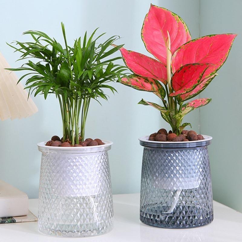 2024 Vaso da fiori trasparente autoirrigante in plastica, vaso per piante a doppio strato automatico pigro, vaso idroponico per fiori per la decorazione della casa