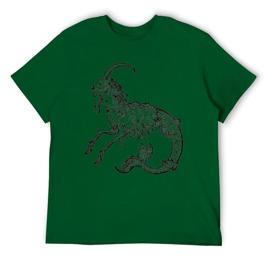 Capricorn Twelve Constellation (4) T-shirt Harajuku Move Tshirt Vintage Home Funny Novelty USA Size