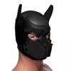 Bdsm Bondage Pet Role Play Party Mask,Puppy Play Dog Hood Mask,Detachable Mouth Gag,Fetish Slave Pup Mask Sex Toys For Women