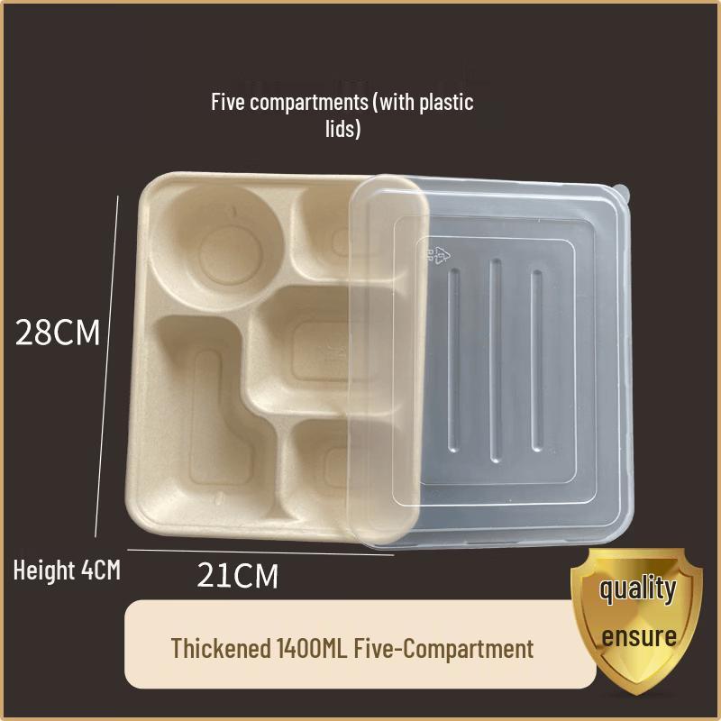 Disposable Pulp Food Container