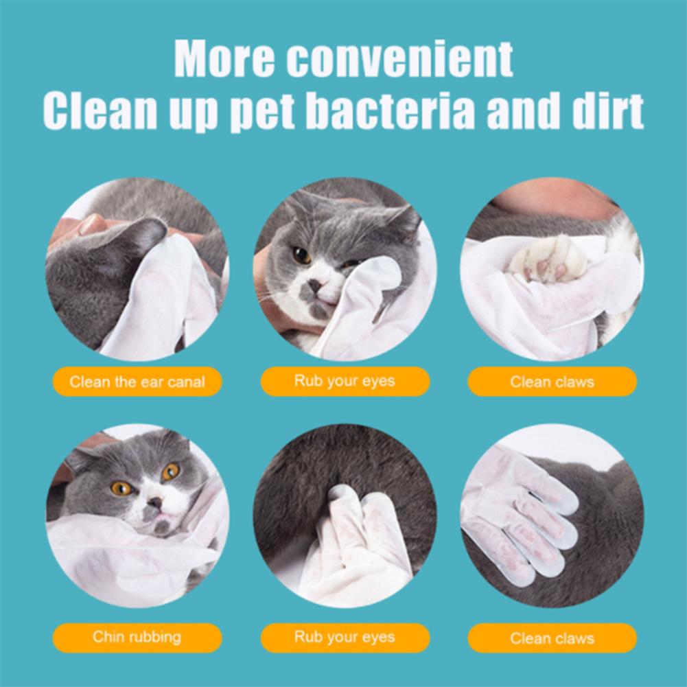 6pcs Pet Cleaning Massage Gloves Non-woven Disposable No-wash Gloves For Dog Cat Cleaning Supplies