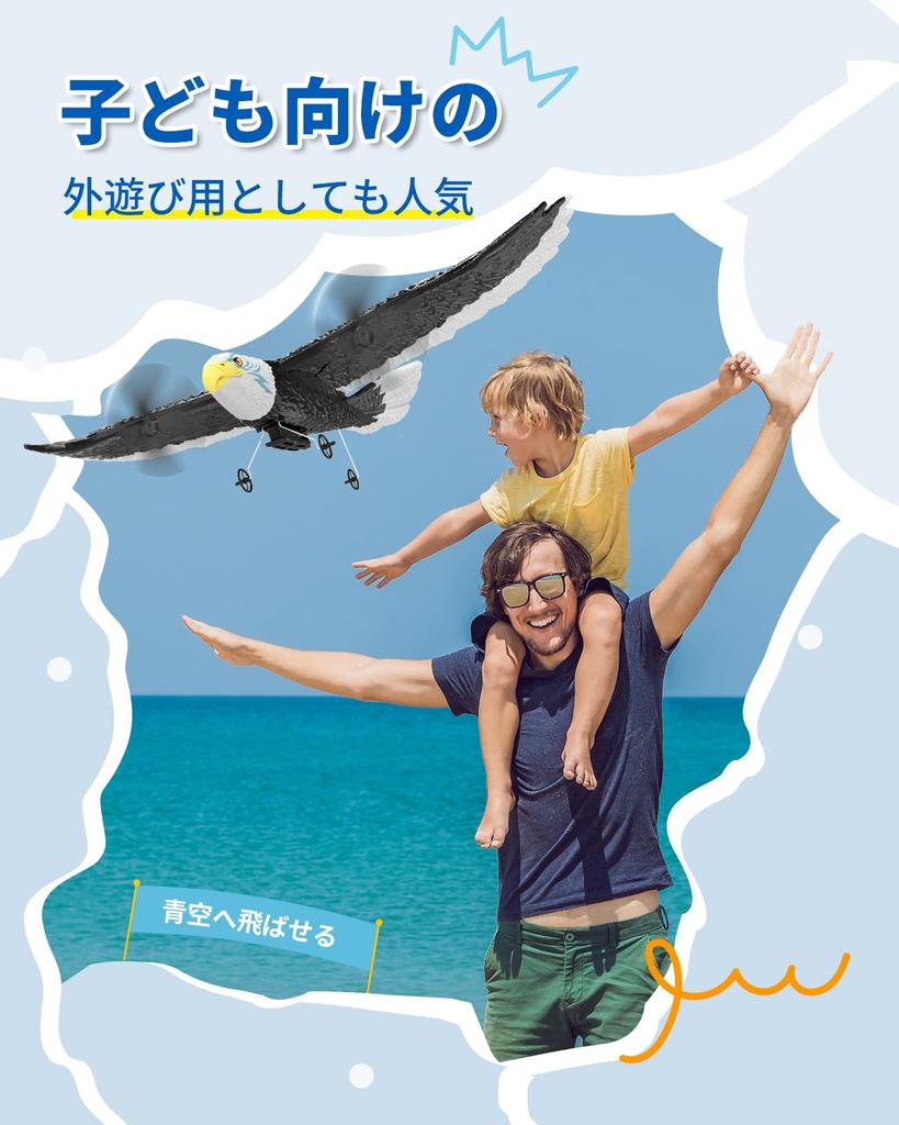 FX651 RC Glider Airplanes for Kids and Beginners, 2-Piece Set, EPP Material, Lightweight, Durable, Impact-Resistant, 6-Axis, 2.4Ghz Control,