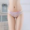 Transparent Embroidered Sexy Panties Women's Underwear Transparent Panties