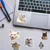 50pcs Funny Animals Cat Meme Stickers Cute Cartoon Decals Kids Toys Laptop Notebook Luggage Motorcycle Decoration Sticker