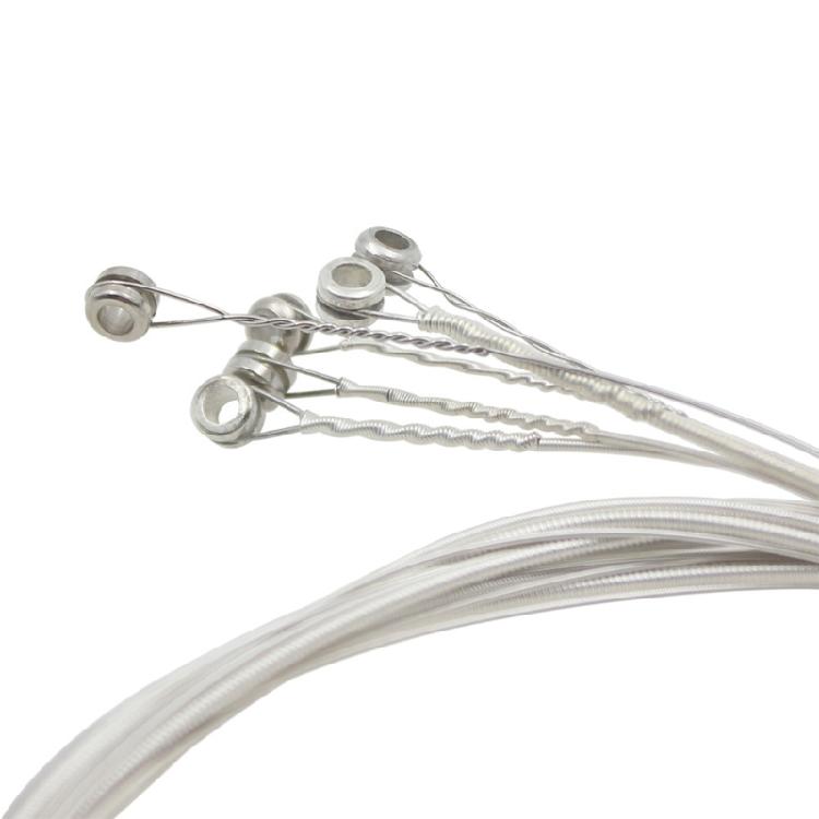 6 Pièces Cordes pour Guitare Folk Cordes d'Acier pour Guitare Acoustique Puissantes et Durables