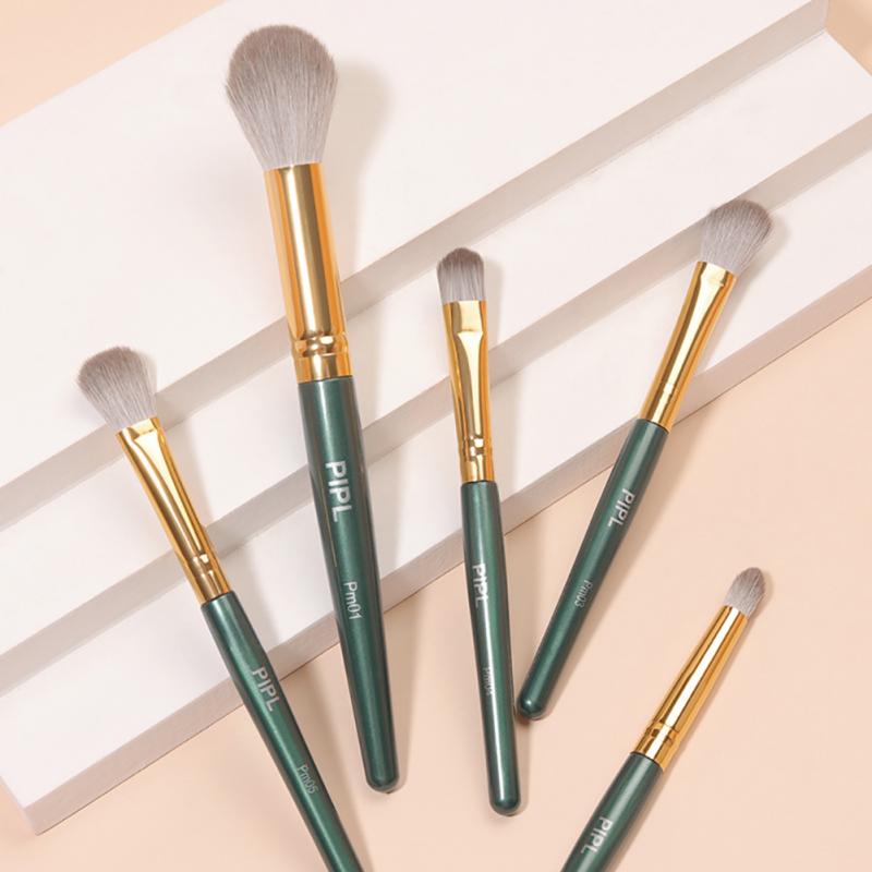 Make-up Pinselset 5/6 Stück Lidschattenpinsel High Gloss Pinsel Superweich Tragbar Augenpinsel Puderpinsel Rougepinsel Make-up Werkzeug