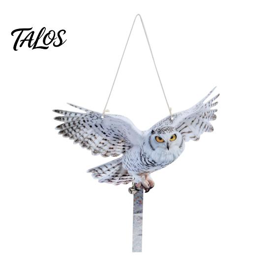 Patio Owl Deterrent 2Pcs Simulated Hanging Decoration Reflective with Dual-Side Garden Decor Printed Waterproof Acrylic Fake Owls for Balcony