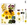 Dried Flower Leaf Kits for Epoxy Jewelry Molds Scrapbooking Supplies and Artistic Soap Making Phone Case Decoration