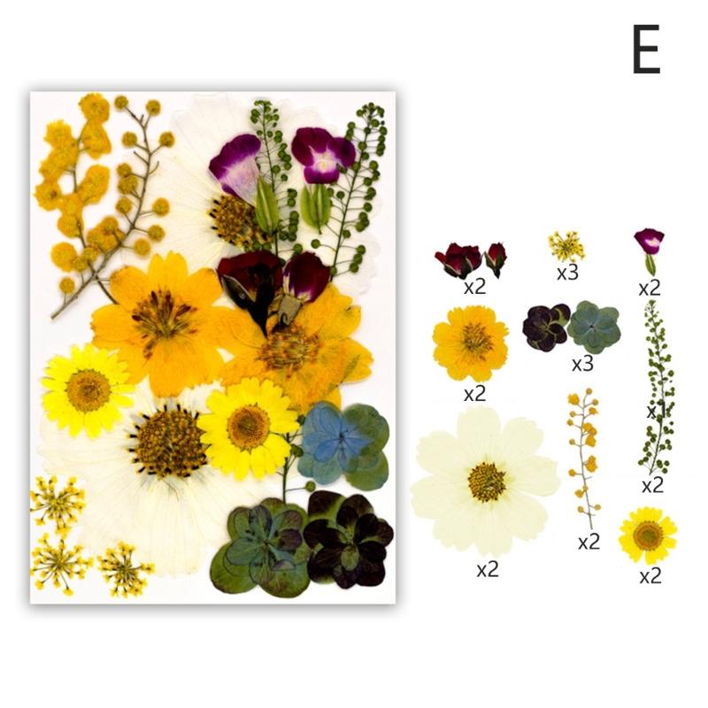 Dried Flower Leaf Kits for Epoxy Jewelry Molds Scrapbooking Supplies and Artistic Soap Making Phone Case Decoration