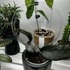Round Shape Plant Trellis Transparent Climbing Plant Support Plants Growth Stand  Indoor Plants