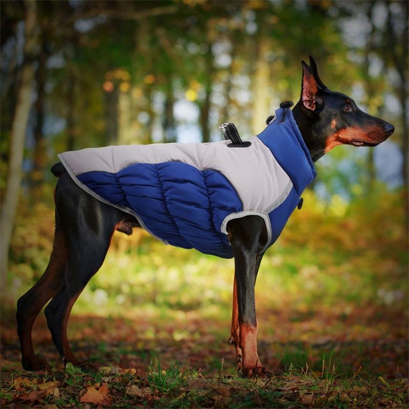 Dogs Warm Coat for Outdoor Activity Puppy Clothes Cats Windproof Jumpsuit Fashion Dog Clothes Chihuahuas Teddydog Outfit