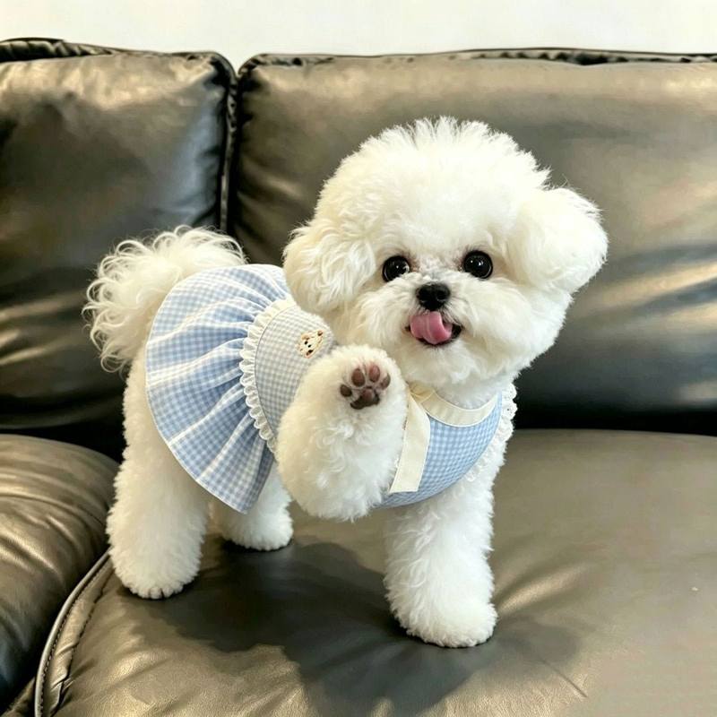 Cute Pet Products Checkered Bow Strappy Dog Dresses Pet Spring Lightweight Dog Cat Teddy Bear Summer Clothing Dogs Accessories