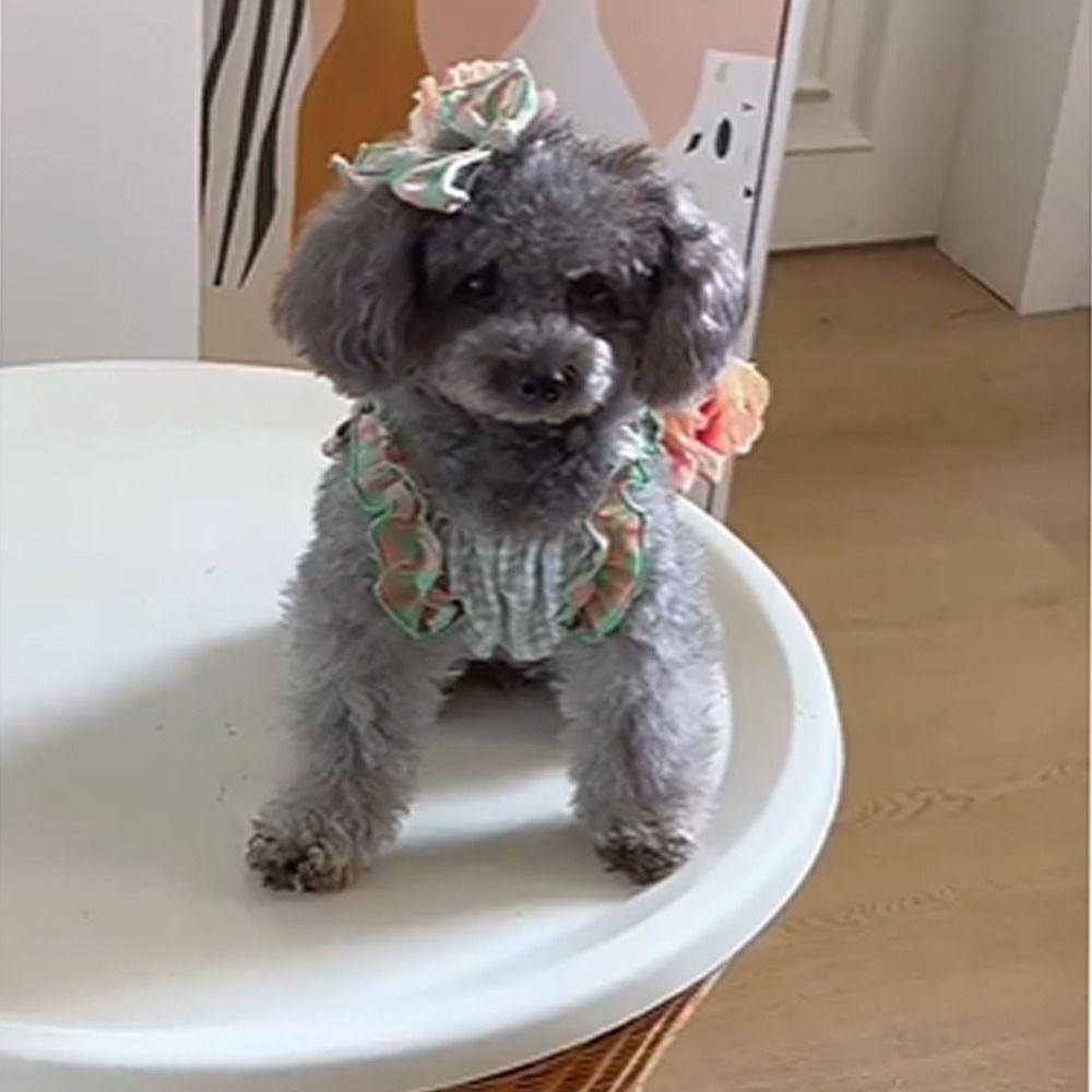 Fashion Dog Clothes Cute Pet Summer Princess Skirt Pet Supplies Pet Plaid Lace Vest  Spring