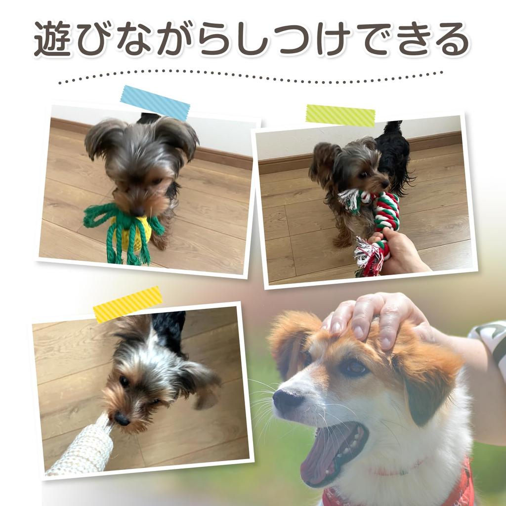 FOily TOily Dog Rope Dog Chew Toys for Stress Suitable for Dogs of Toys, Toys, Pets, Cotton, Linen, Relief, Gift, Durable, Clean, Small/Medium (Set 6)