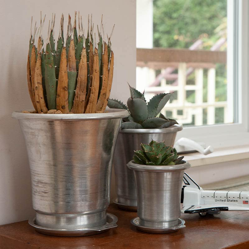 Dulton Aluminum Pot S with Saucer BOTANY Pot Planter with Saucer and Drain Hole Height 112mm Diameter 105mm No. 3.5 NB-0462S