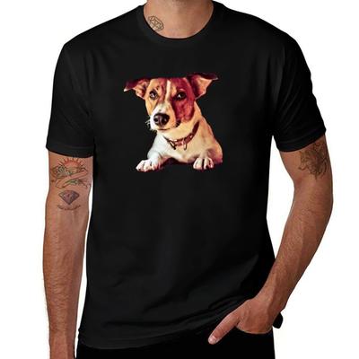 Üst giysisi – T-shirtler