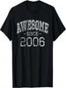 Awesome Since 2006 Vintage Style Born In 2006 Birthday Gift T-Shirt