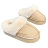 Plush Cotton Slippers 2025 New Autumn and Winter Home Indoor Thick-soled Non-slip Velvet Warm Cotton Shoes