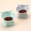 Cat Bowl With Stand Tilt Cat Bowl Cat Feeder Bowl Cat Food Water Bowl Pet Feeder