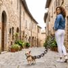 Lightweight Simulated Giant Chain Pet Leash Plastic Dog Traction Rope  Halloween Props